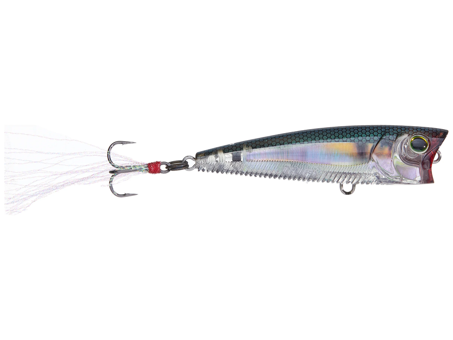 Yo-Zuri 3DB Series Popper Real Gizzard Shad