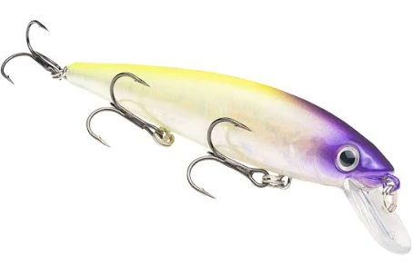 Strike King KVD Jerkbt 4.5'' Pro Purple Headed Hammer