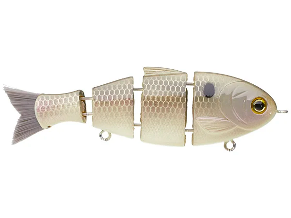 catch co Baby Bull Shad Gizzard Shad