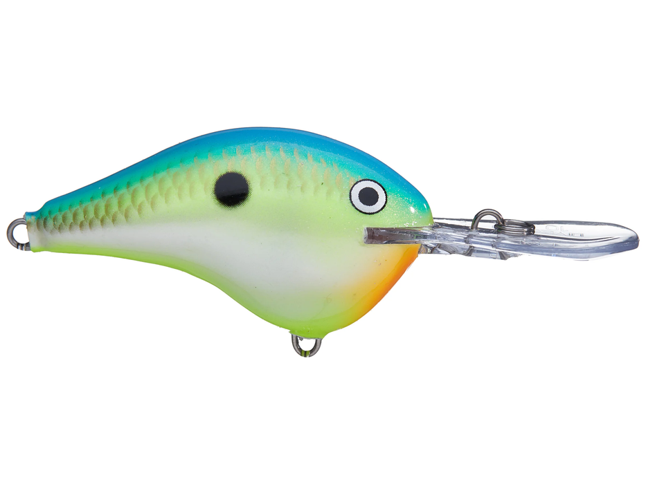 Rapala dt 8 citrus shad