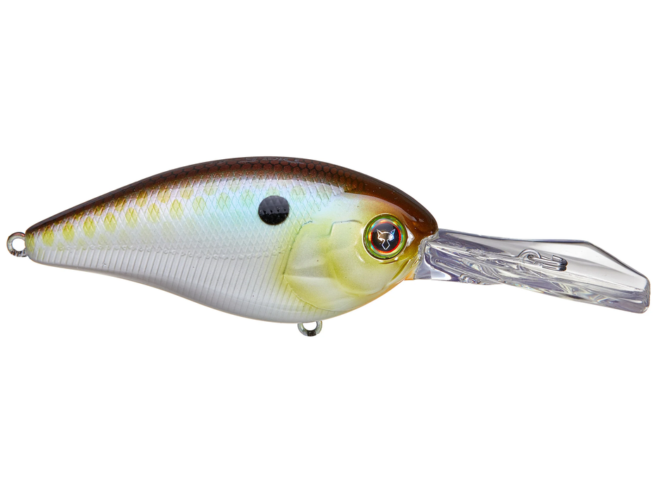 Jackall Winglet Lip Digle 4+ Tennessee Shad