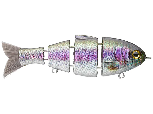 catch co Baby Bull Shad Rainbow Trout