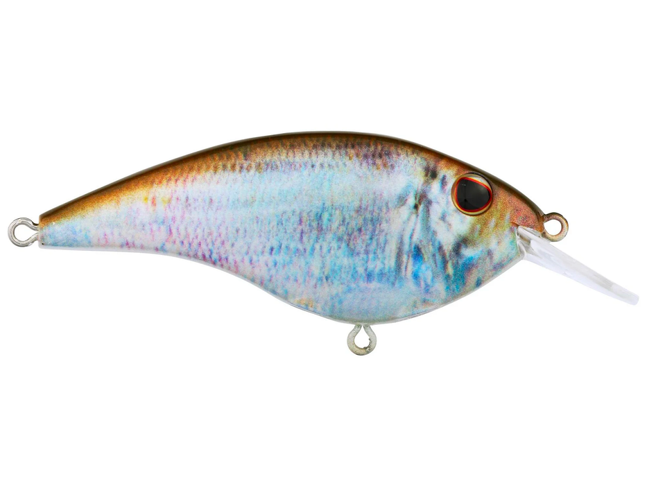 Berkley Frittside 9 HD Blueback Herring