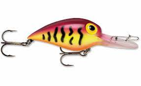 Storm Wiggle Wart Purple Tiger