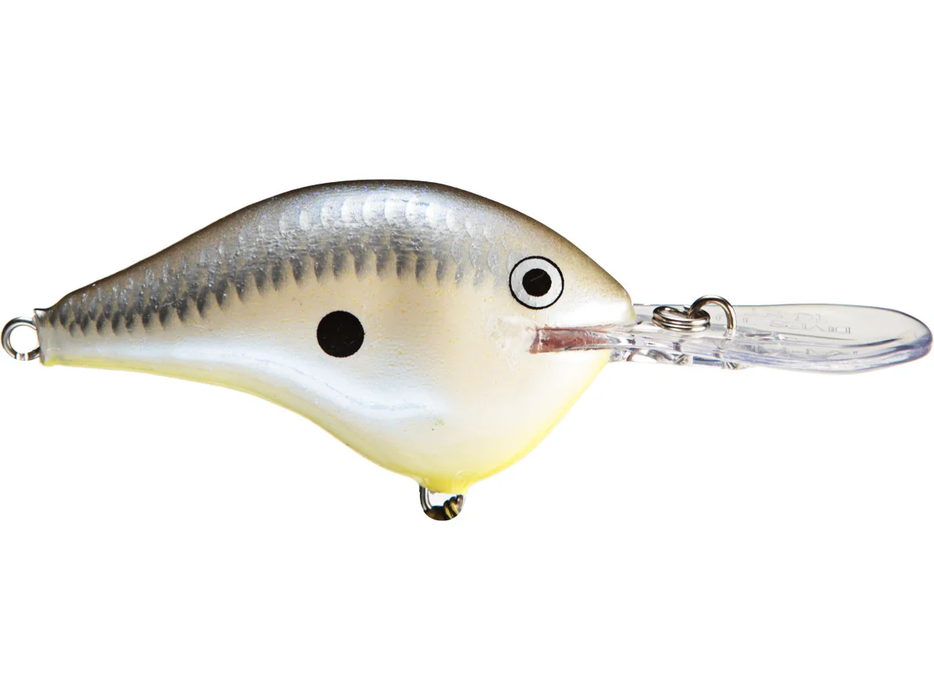 rapala dt 8 disco shad