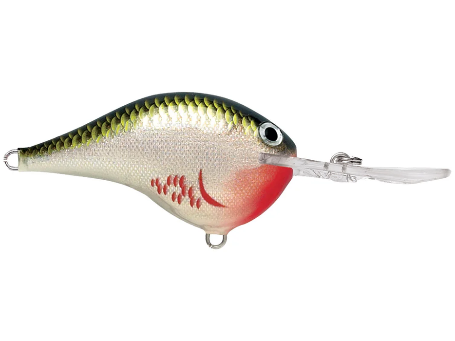 rapala DT-8 Bleeding Olive Shiner