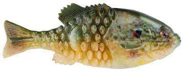 Powerbait Gilly 90mm Pumpkinseed
