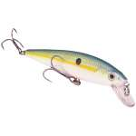 Strike King KVD Jerkbt 4.5'' Chart Sexy Shad