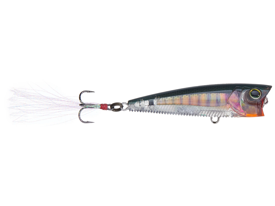 Yo-Zuri 3DB Series Popper
