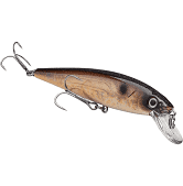 Strike King KVD Jerkbt 4.5'' Pro Black