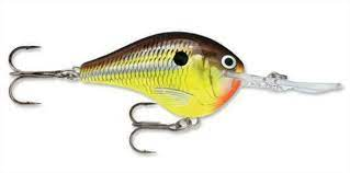 RAPALA DT 14 CRANKBAITS HOT MUSTARD