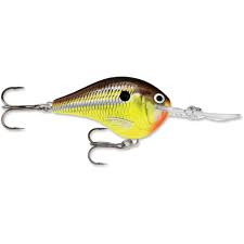 RAPALA DT 16 CRANKBAITS HOT MUSTARD