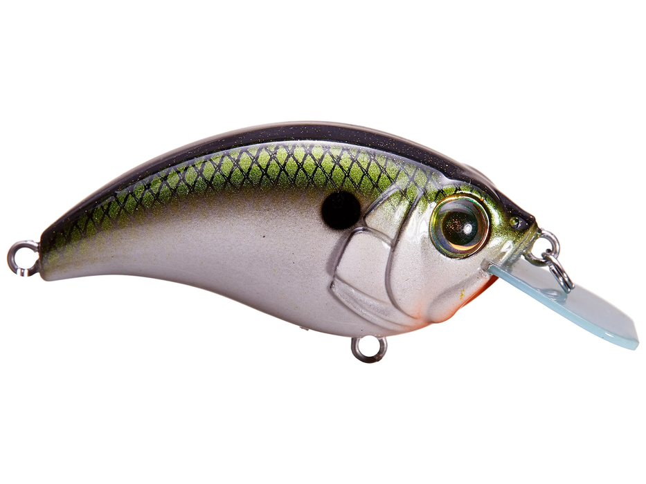 bill lewis sb-57 crankbait tennessee shad