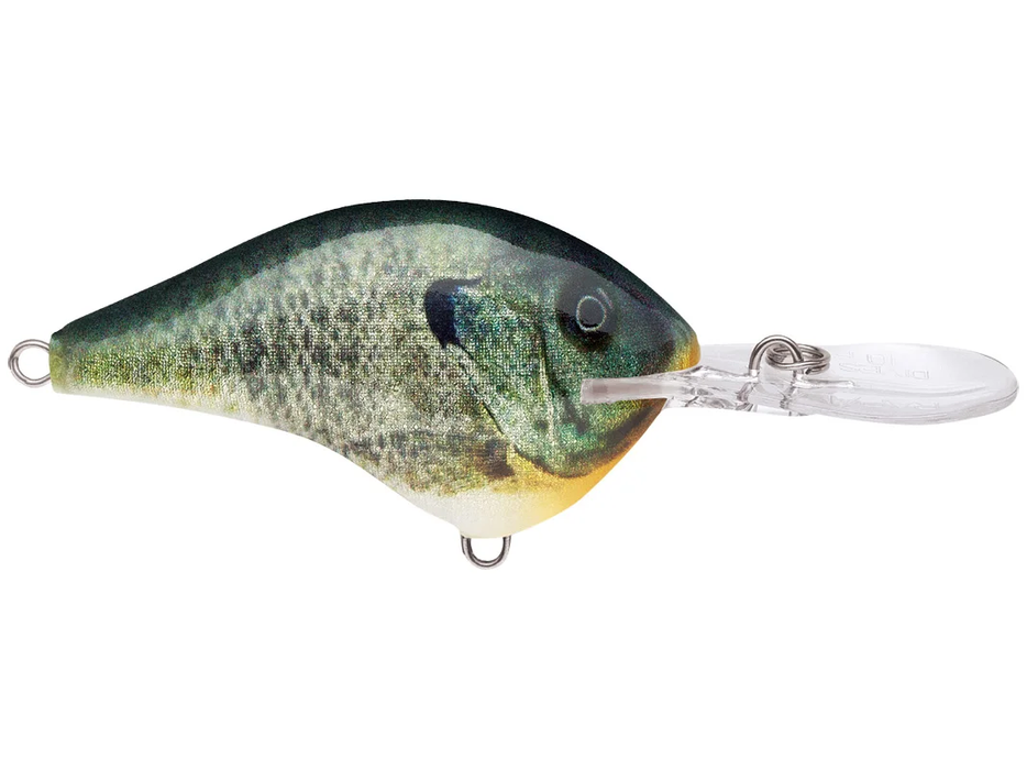 Rapala DT 10 Crankbaits Live Bluegill