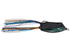 Prototype Lures Hollow Body Smasher Pro Frogs