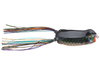 Prototype Lures Hollow Body Popping Smasher 2.0 Frog