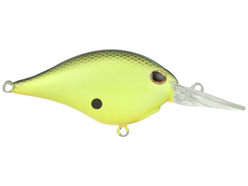 Berkley Dime 6 Crankbait