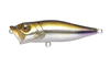 Megabass Pop X Popper