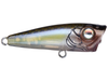 Damiki Umpa 40 BFS Topwater Popper