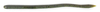 Daiwa Yamamoto Neko Straight Worm 5.8"