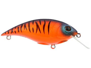 Berkley Shallow Money Badger 5 Crankbait