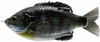 Savage Gear DC Slide Gill