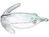 Deps Basirisky Soft Belly Frog 60mm
