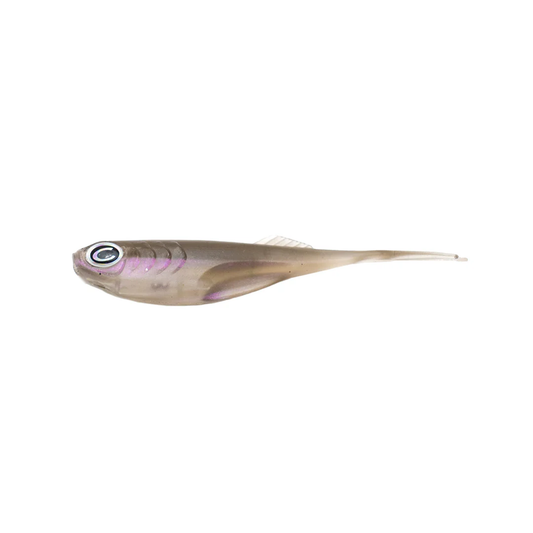 CAST Echo 2.75" (8pk)