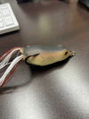Copper Red Baits Wave Frog