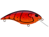 Berkley Shallow Money Badger 5 Crankbait