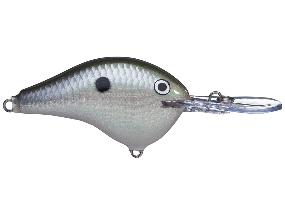 rapala dt 4 green gizzard shad