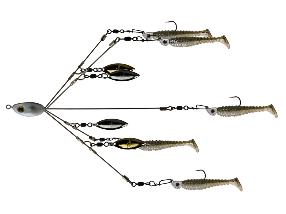 Picasso School-E-Rig Perfection Jr Shad 1 Pack — Talkin' Tackle