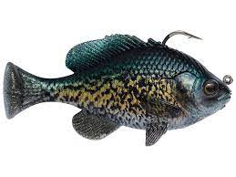 Savage Gear Pulse Tail Blue Gill 4" Moderate Sink Crappie